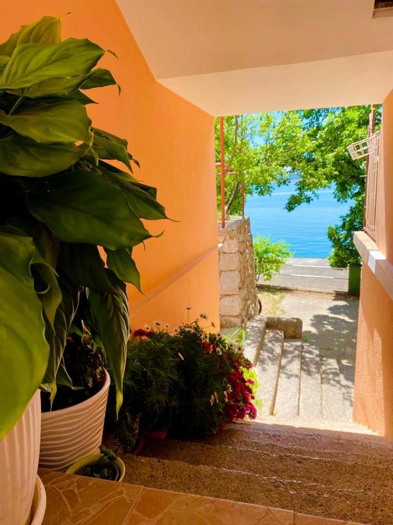 Apartament Porat Starigrad Paklenica Zewnętrze zdjęcie