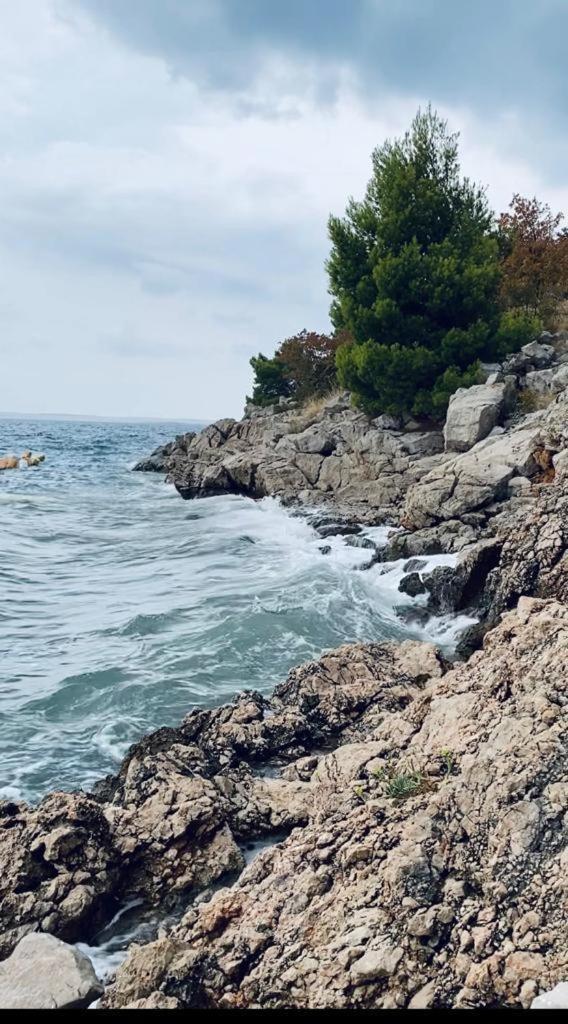 Apartament Porat Starigrad Paklenica Zewnętrze zdjęcie